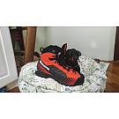 Visoke planinarske cipele Scarpa Ribelle Lite HD