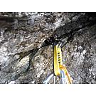 Butterfly Black Diamond Camalot C4 2