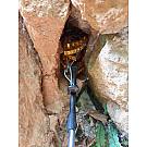 Butterfly Black Diamond Camalot C4 2