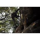 Najlonska petlja Rock Empire 120 cm, 20 mm
