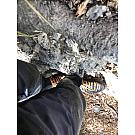 Salewa MTN Trainer GTX niske planinarske cipele za muškarce