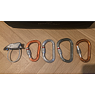 Petzl William karabiner sa maticom