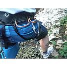 Petzl William karabiner sa maticom