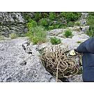 Jednostruko penjačko uže Edelrid Boa 9.8 60m