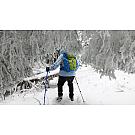 Salewa Crow GTX Ženske visoke planinarske čizme