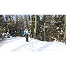Salewa Crow GTX Ženske visoke planinarske čizme