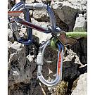 Ovalni karabiner Petzl OK Screw Lock (M33A SL)